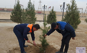 "Yashil makon": temir yo'l ishchilari hududlarni obodonlashtirish bilan faol shug'ullanmoqdalar